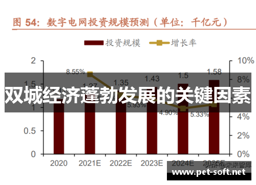 双城经济蓬勃发展的关键因素
